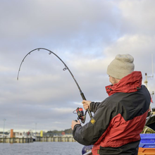 Mare Tour Deepstar  Travel