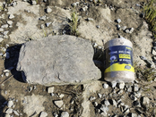 BLACK CAT - Stone Rig Line 2,00mm  100m BLACK CAT - Stone Rig Line 2,00mm  100m