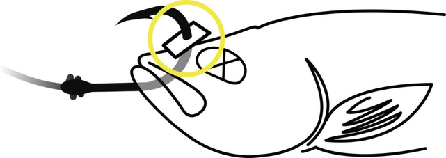 BLACK CAT - Baitfish Stopper 1,5m BLACK CAT - Baitfish Stopper 1,5m