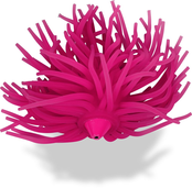 BLACK CAT - Real Worm Teaser BLACK CAT - Real Worm Teaser