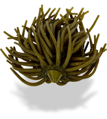 BLACK CAT - Real Worm Teaser BLACK CAT - Real Worm Teaser