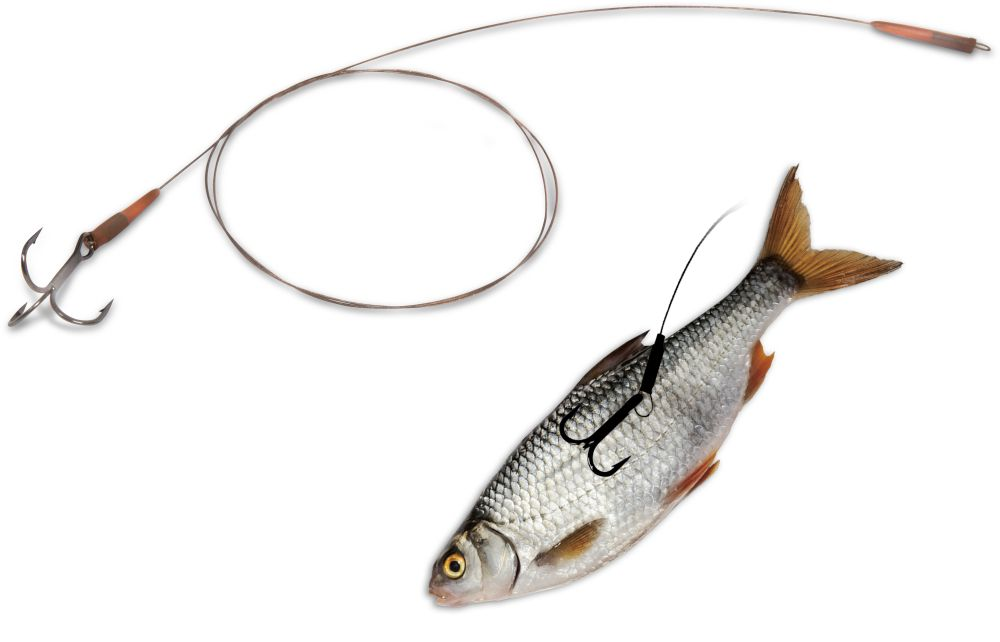 QUANTUM Float Rig Leader