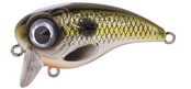 SPRO - Fat Iris 50 SPRO - Fat Iris 50