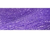 FUTUREFLY - Predator Flash Purple