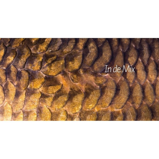 ALIJN DANAU - De Wraak Van De Weerhaak ALIJN DANAU - De Wraak Van De Weerhaak