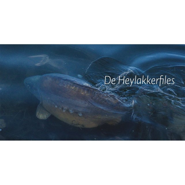 ALIJN DANAU - De Wraak Van De Weerhaak ALIJN DANAU - De Wraak Van De Weerhaak