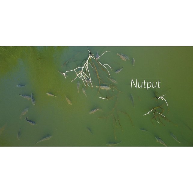 ALIJN DANAU - De Wraak Van De Weerhaak ALIJN DANAU - De Wraak Van De Weerhaak