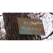 ALIJN DANAU - De Wraak Van De Weerhaak ALIJN DANAU - De Wraak Van De Weerhaak