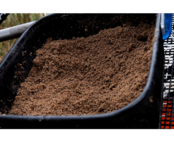 SONUBAITS - Pro Thatchers Dark