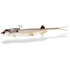 Quantum QUANTUM - Pelagic Shad 25cm