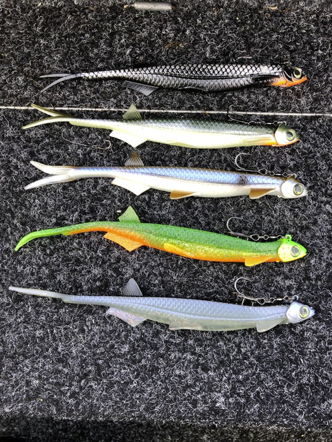 QUANTUM - Pelagic Shad 25cm QUANTUM - Pelagic Shad 25cm