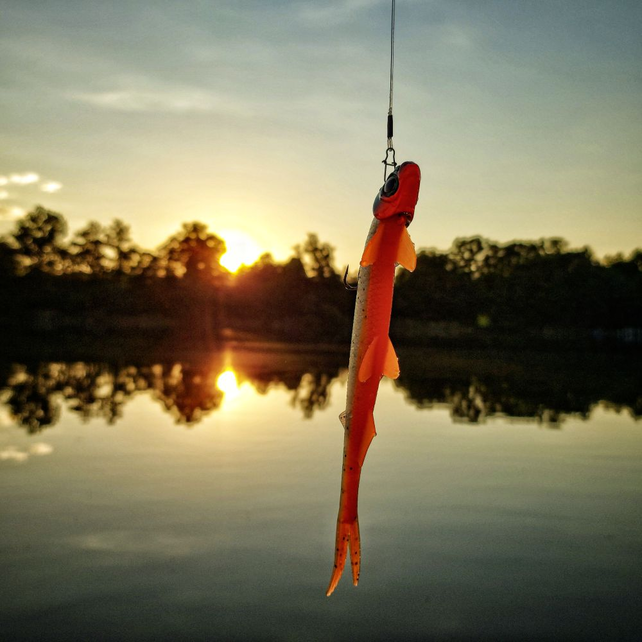 QUANTUM - Pelagic Shad 21cm QUANTUM - Pelagic Shad 21cm