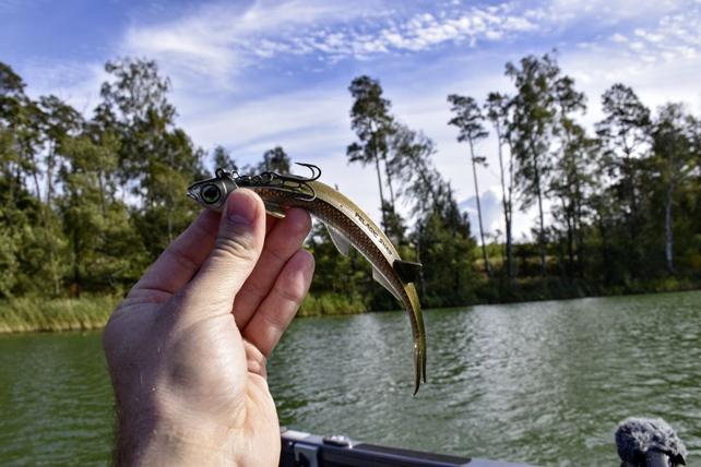 QUANTUM - Pelagic Shad 21cm QUANTUM - Pelagic Shad 21cm