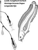 RHINO - Lengmontage Lichtgevend 55kg 1,00mm