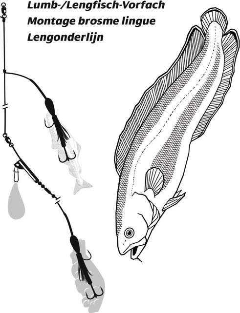 RHINO - Lengmontage Lichtgevend 55kg 1,00mm