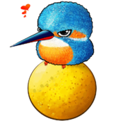 CUYTEN BOILIES - Luca's