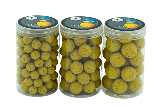 CUYTEN BOILIES - Luca's