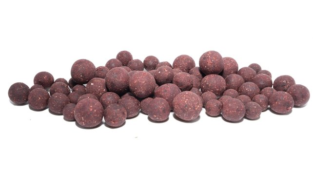 CUYTEN BOILIES - Spartans