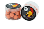CUYTEN BOILIES - Spartans