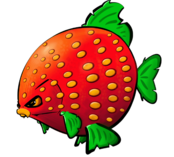 CUYTEN BOILIES - Berries