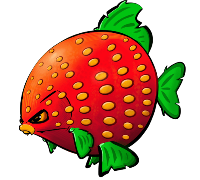 CUYTEN BOILIES - Berries