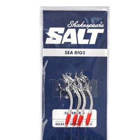 Salt Silvers Rig