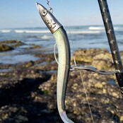 GT-BIO- Kamaleo Sandeel 155