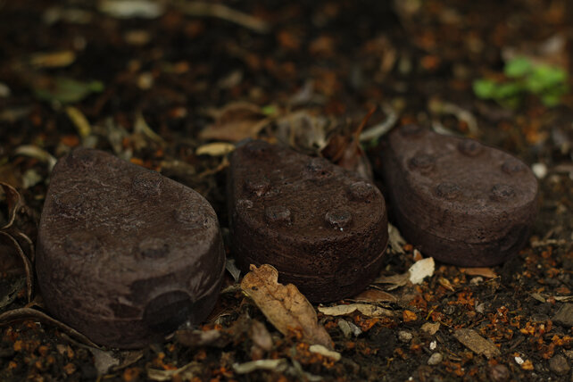 ECONCRETES - loodvrij Grippa Big Eye Swivel