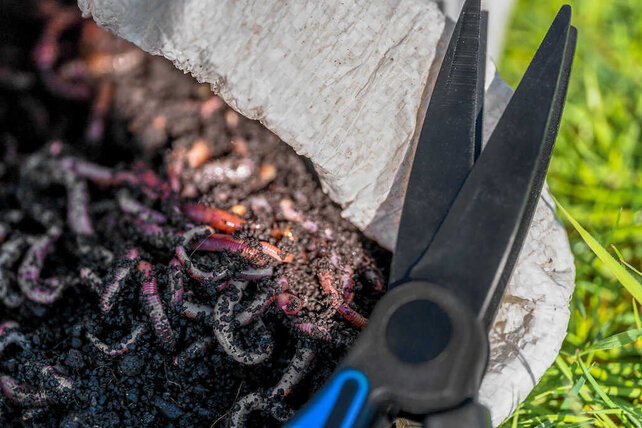 PRESTON - Worm Scissors