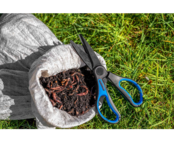 PRESTON - Worm Scissors