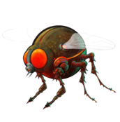 CUYTEN BOILIES - Insecticons