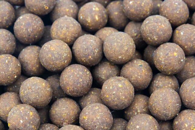 CUYTEN BOILIES - Insecticons