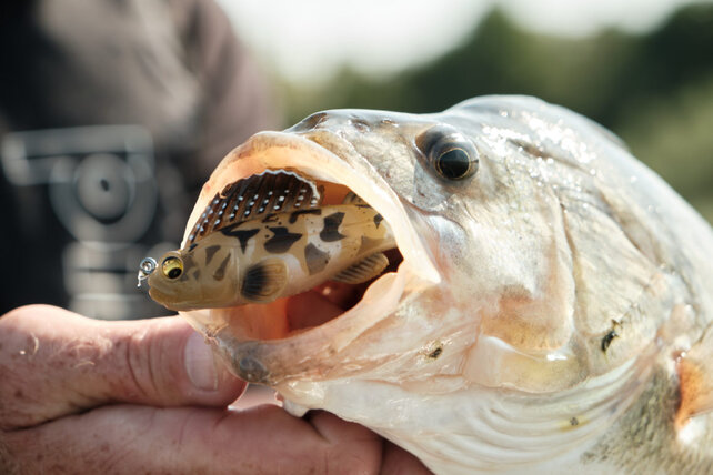 MEGABASS - Dark Sleeper 23gr MEGABASS - Dark Sleeper 23gr