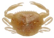 BERKLEY - Gulp!® Saltwater Peeler Crab 5st BERKLEY - Gulp!® Saltwater Peeler Crab 5st