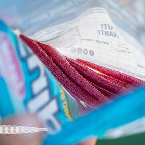 Gulp!® Fat Sandworm 10st