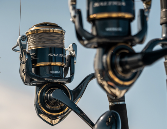 DAIWA - 20 Saltiga DAIWA - 20 Saltiga