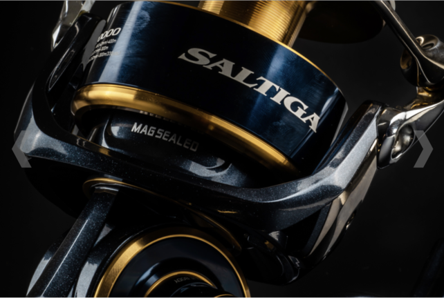 DAIWA - 20 Saltiga DAIWA - 20 Saltiga