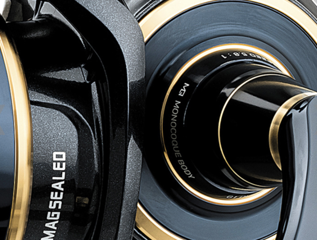 DAIWA - 20 Saltiga DAIWA - 20 Saltiga