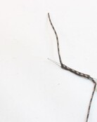 PB PRODUCTS - Splicing Threader