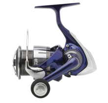 DAIWA - 24 TDR Match & Feeder QD