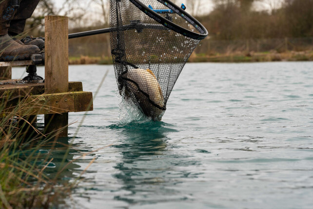 PRESTON - Carp XS Landing Nets