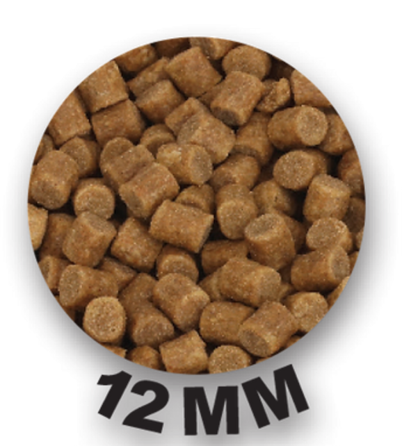 FUN FISHING - Pellets Waggler Natural 1,5kg FUN FISHING - Pellets Waggler Natural 1,5kg