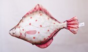 GABY - The Flounder "Bot" Pillow 41cm GABY - The Flounder "Bot" Pillow 41cm