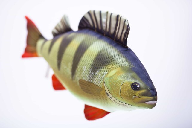 GABY -  The Perch "Baars" Pillow GABY -  The Perch "Baars" Pillow