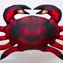 The Common Crab "Krab"