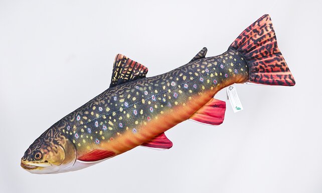 GABY - The Brook Trout "Forel" Pillow GABY - The Brook Trout "Forel" Pillow