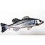 Gaby GABY - The European Sea Bass "Zeebaars" 70cm Pillow