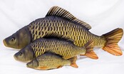 GABY - The Common Carp "Karper" Pillow GABY - The Common Carp "Karper" Pillow