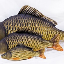 The Common Carp "Schubkarper"