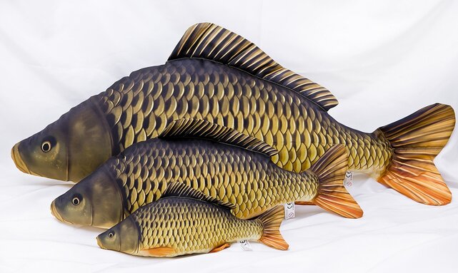 GABY - The Common Carp "Karper" Pillow GABY - The Common Carp "Karper" Pillow